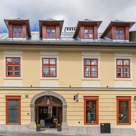 Banská Štiavnica Dom Berg 아파트 외부 사진